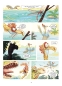 Dinodyssee 1: Freunde für immer
