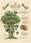Greenwood 2: Der Wettstreit