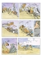 Ein indianischer Sommer