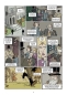 Arsène Lupin: Die hohle Nadel (Graphic Novel)