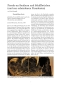 Die Odyssee (Illustrierter Roman)