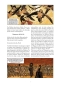 Die Odyssee (Illustrierter Roman)
