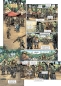 Orks & Goblins 29: Die Bogenschützen von Orethia