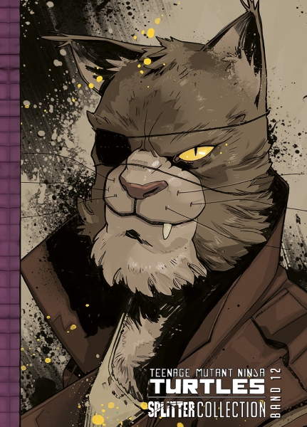 Teenage Mutant Ninja Turtles Splitter Collection 12
