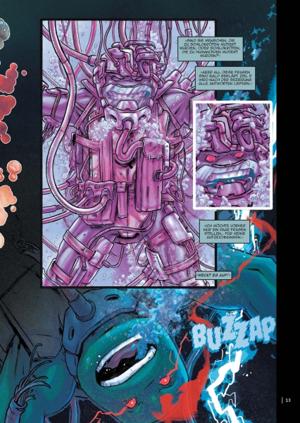 Teenage Mutant Ninja Turtles Splitter Collection 13
