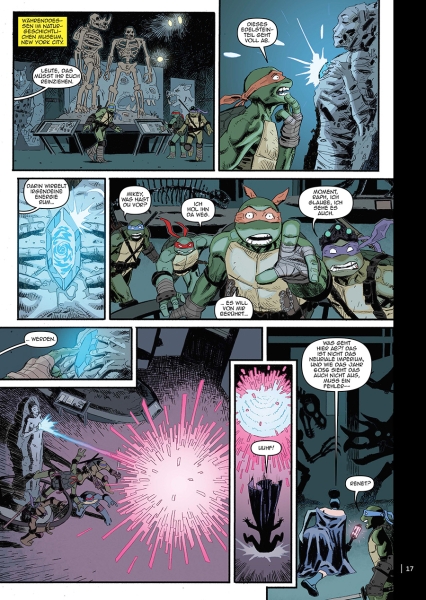 Teenage Mutant Ninja Turtles Splitter Collection 08