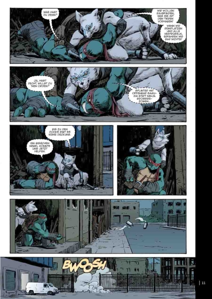 Teenage Mutant Ninja Turtles Splitter Collection 10