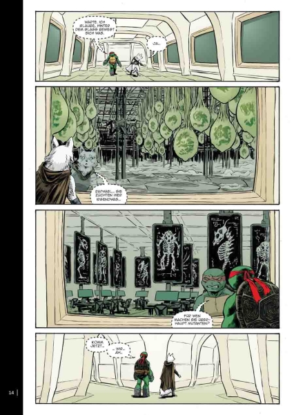 Teenage Mutant Ninja Turtles Splitter Collection 10