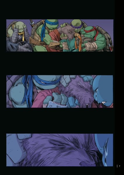 Teenage Mutant Ninja Turtles Splitter Collection 14