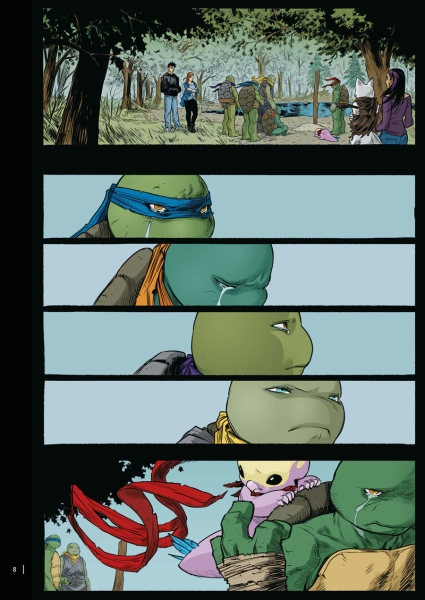 Teenage Mutant Ninja Turtles Splitter Collection 14