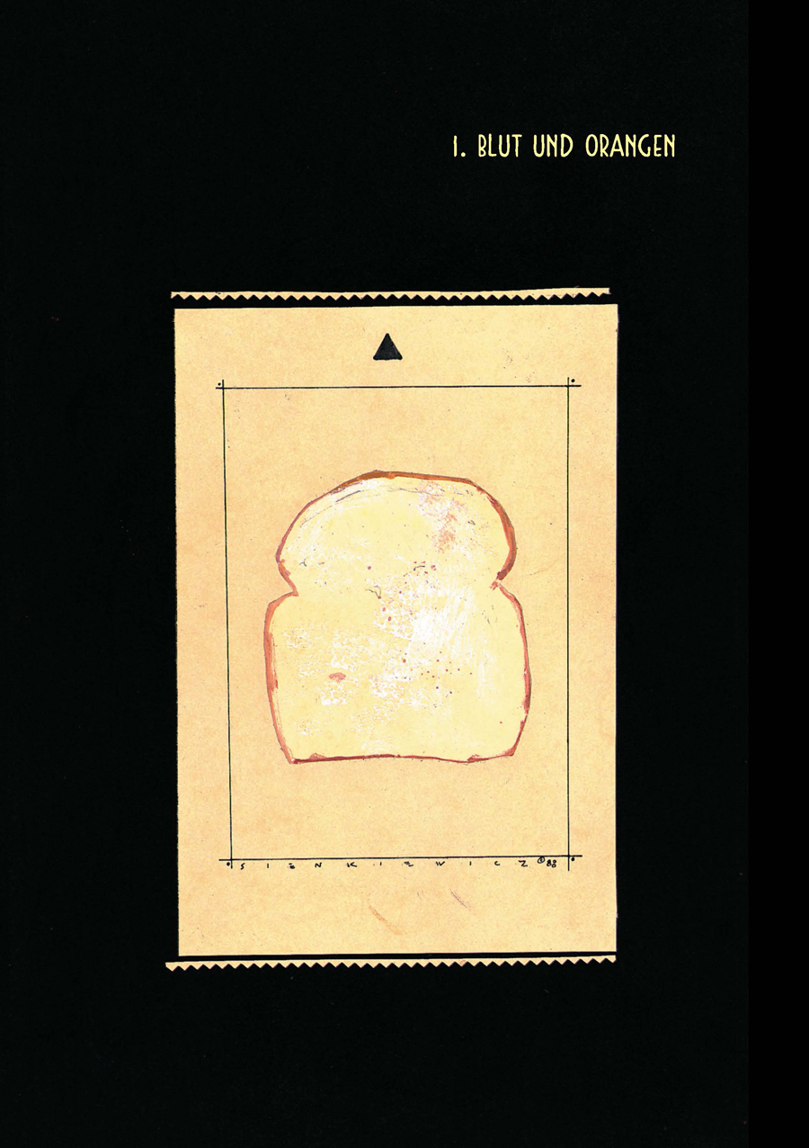 Splitter Verlag Comics und Graphic Novels Stray Toasters