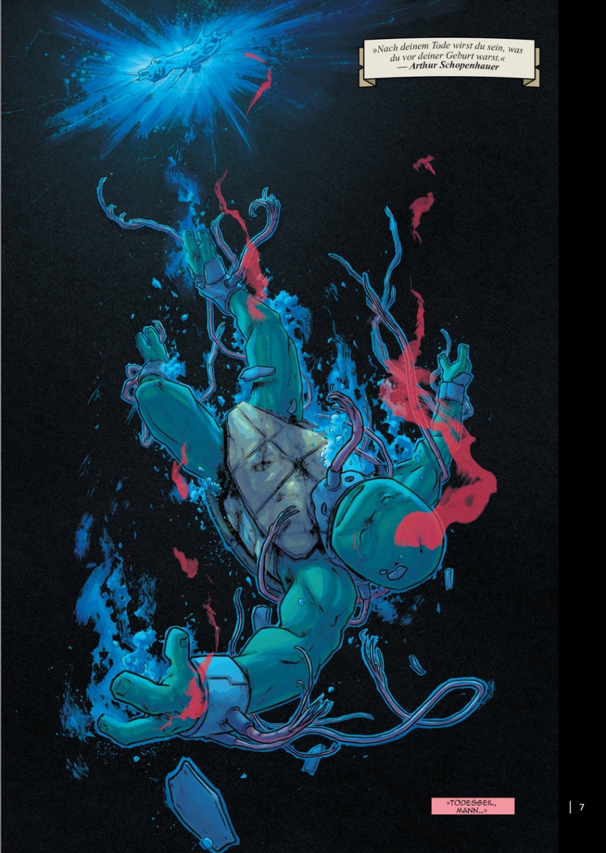 Teenage Mutant Ninja Turtles Splitter Collection 13