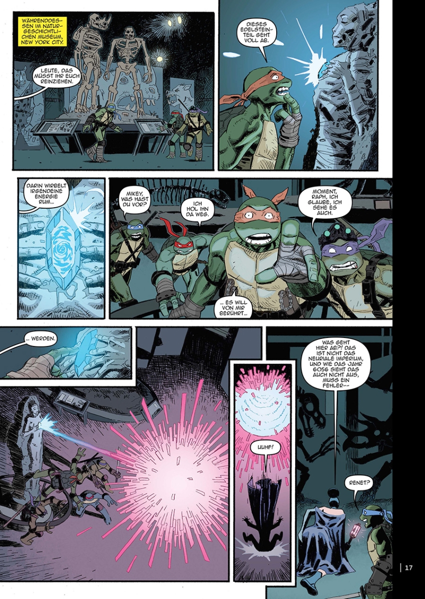 Teenage Mutant Ninja Turtles Splitter Collection 08