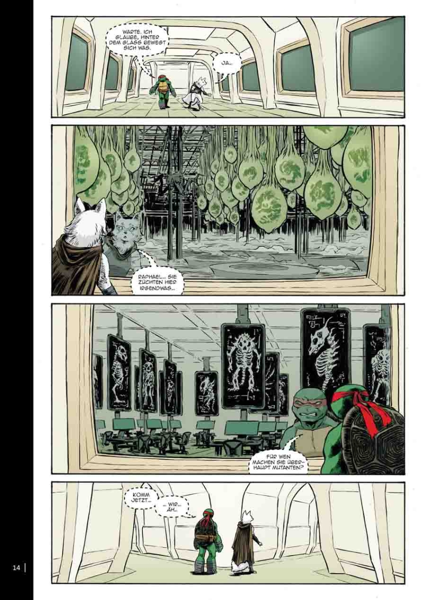 Teenage Mutant Ninja Turtles Splitter Collection 10