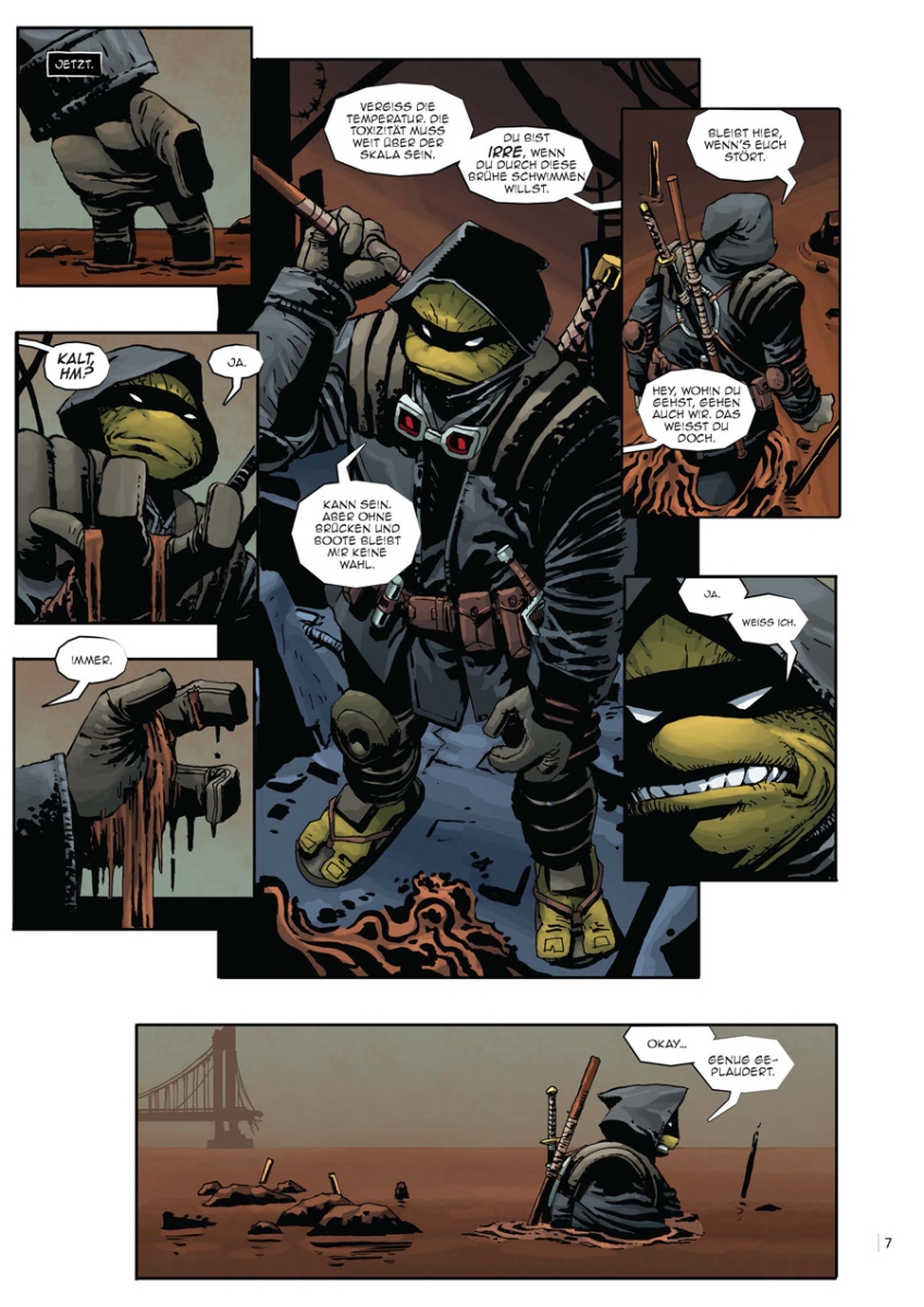 Teenage Mutant Ninja Turtles: The Last Ronin